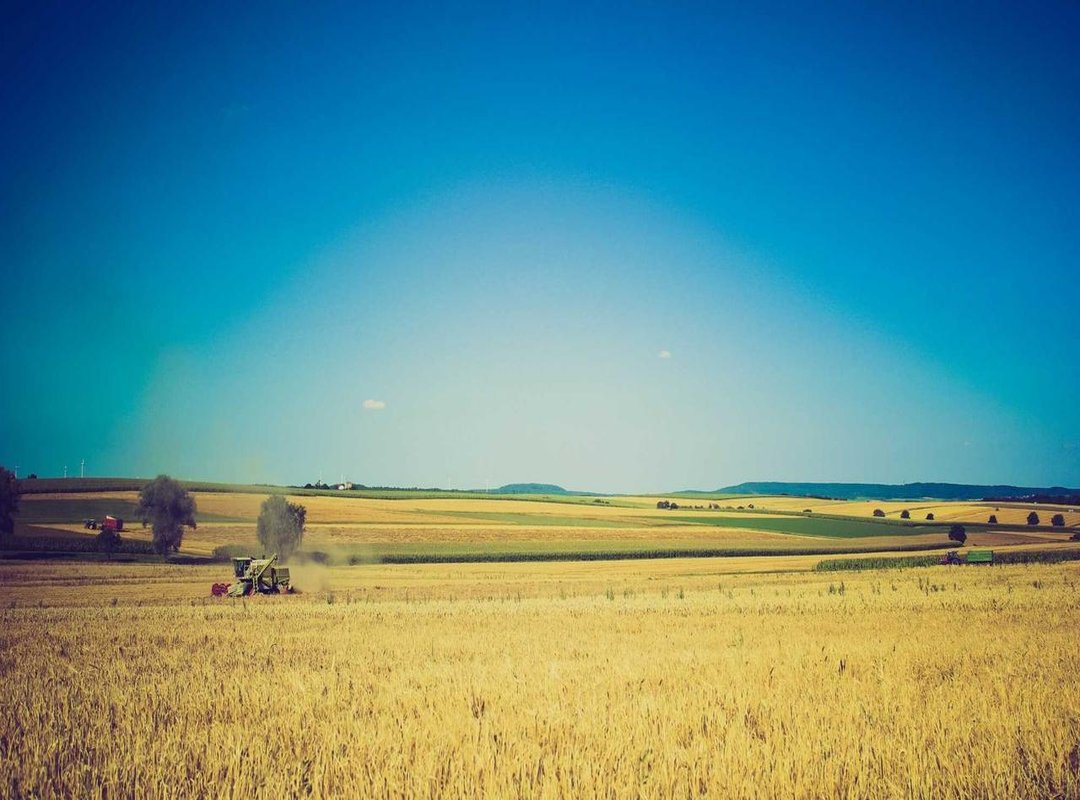 A Practical Strategy for Finding ABC2 & ABC4Kids Clips