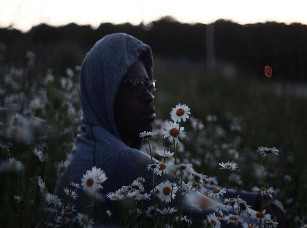 Pricing Context: Free vs. Paid APK Hacks