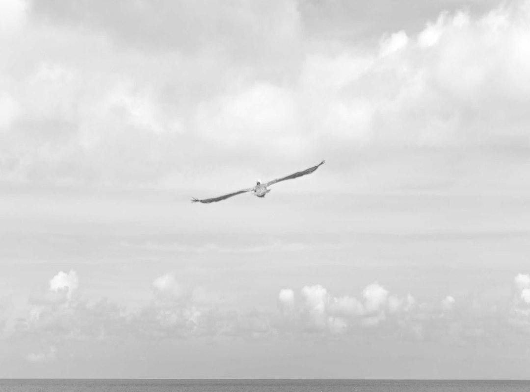 More Than a Famous Face: Fitness, Image, and Public Perception