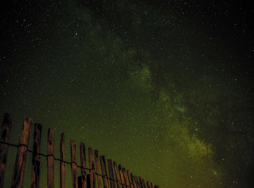 Quick Technical Guide: Embedding GIFs in PowerPoint & Google Slides