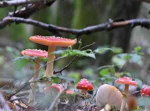 einde presentatie meme gif