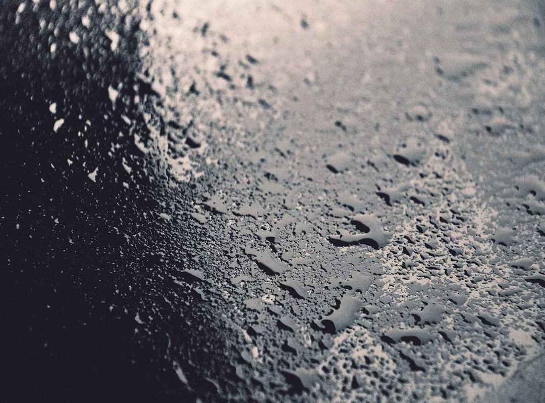 How the Internet Reacted: A Look at the Online Discussion