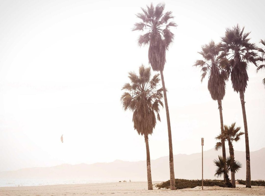 Decoding HSS Compatibility: What It Means for Your Gear