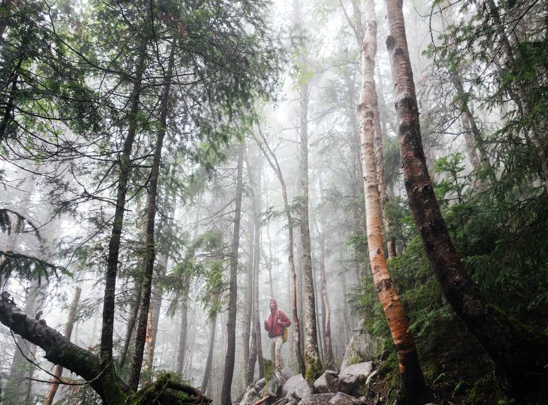 Comparing On-Site vs. Off-Site Massage Programs: Which is Right for You?