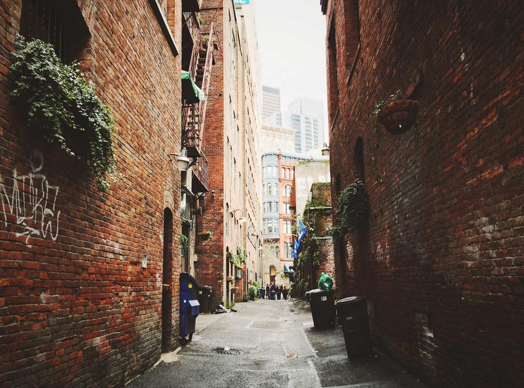 Understanding Skoka Cusco Compatibility: Devices, Games, and Platforms