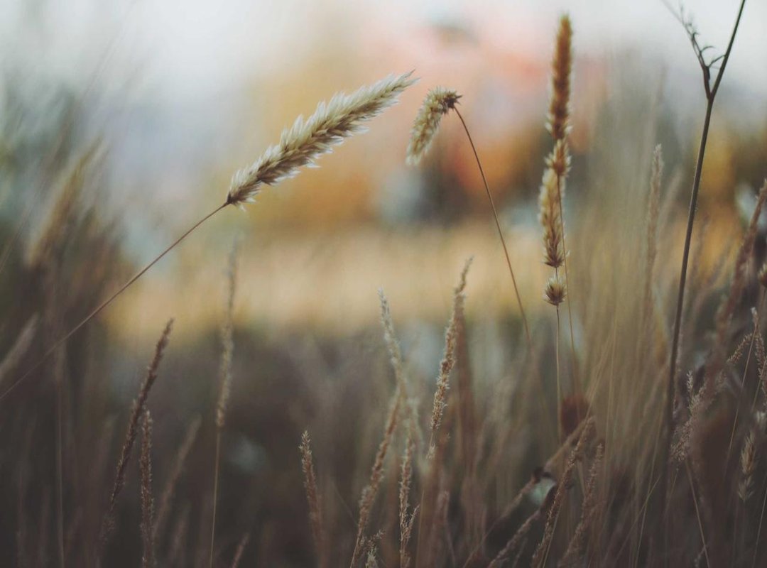 Frequently Asked Questions (FAQs)