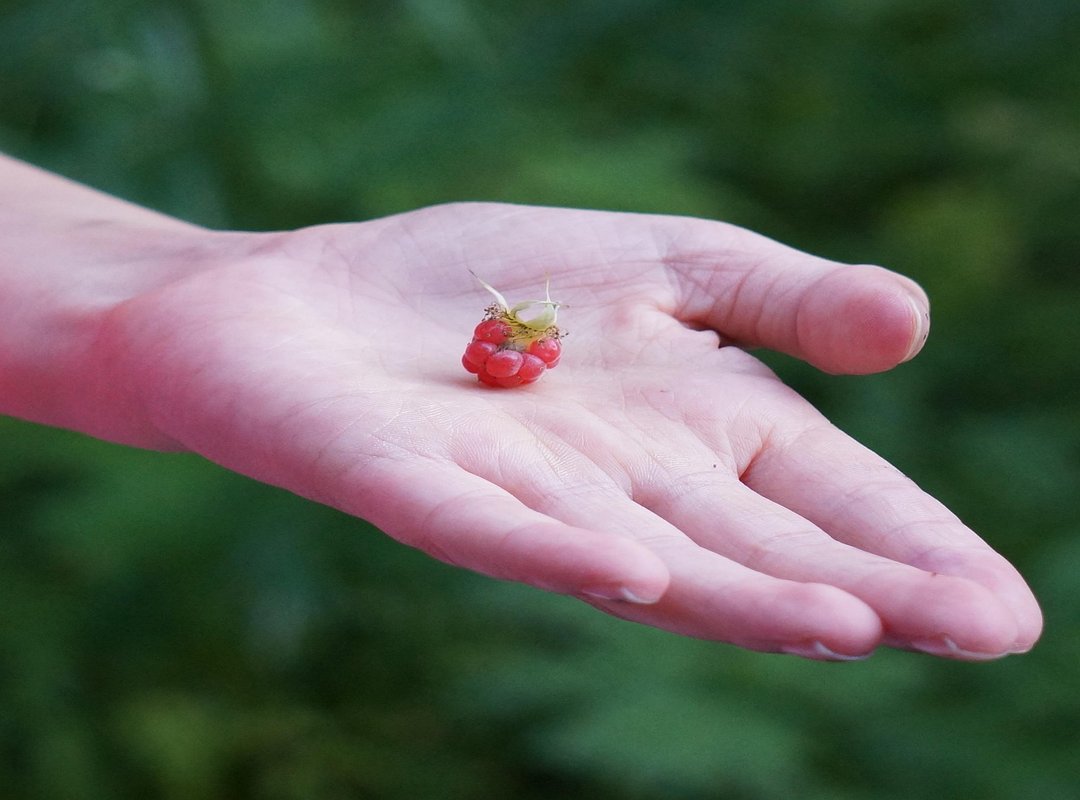 Strategies to Finally Beat That Level You're Stuck On