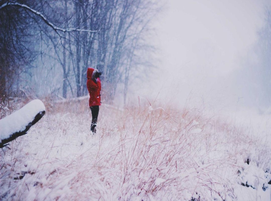 WYS vs. WYD: Understanding the Subtle Difference